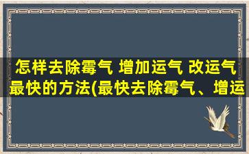 怎样去除霉气 增加运气 改运气最快的方法(最快去除霉气、增运气、改运气的实用方法大全)